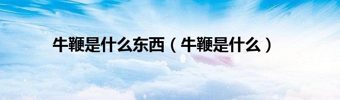 牛鞭是什么東西（牛鞭是什么）
