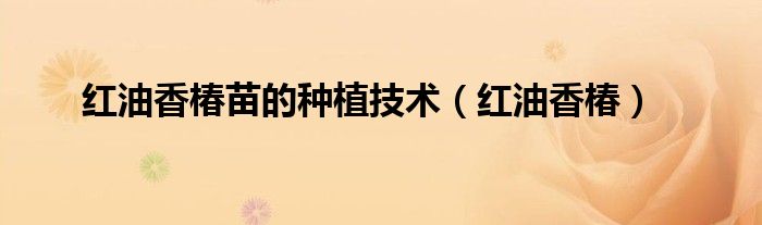 紅油香椿苗的種植技術(shù)（紅油香椿）