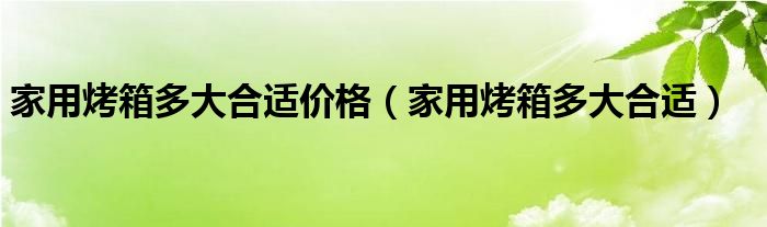 家用烤箱多大合適價(jià)格（家用烤箱多大合適）