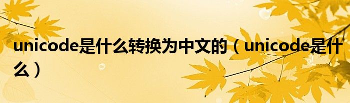 unicode是什么轉換為中文的（unicode是什么）