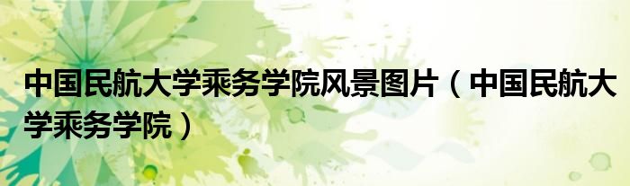 中國民航大學乘務學院風景圖片（中國民航大學乘務學院）