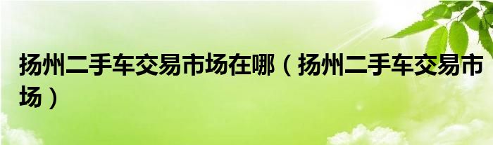 揚(yáng)州二手車交易市場(chǎng)在哪（揚(yáng)州二手車交易市場(chǎng)）