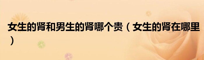 女生的腎和男生的腎哪個貴（女生的腎在哪里）