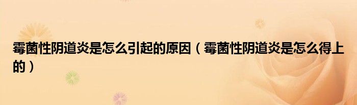 霉菌性陰道炎是怎么引起的原因(霉菌性陰道炎是怎么得上的)