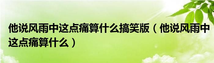 他說風(fēng)雨中這點(diǎn)痛算什么搞笑版（他說風(fēng)雨中這點(diǎn)痛算什么）
