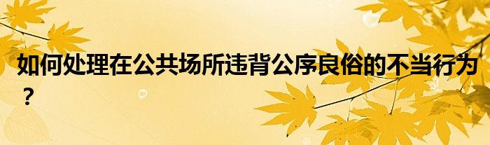 如何處理在公共場所違背公序良俗的不當(dāng)行為？