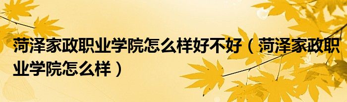 菏澤家政職業(yè)學院怎么樣好不好（菏澤家政職業(yè)學院怎么樣）