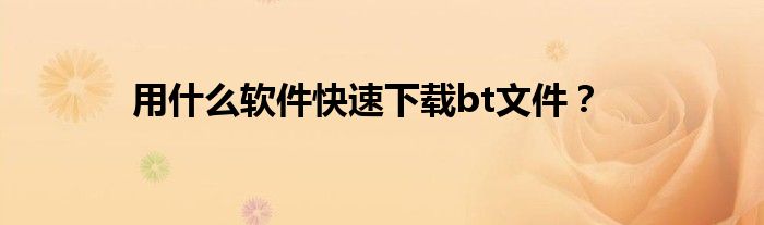 用什么軟件快速下載bt文件？