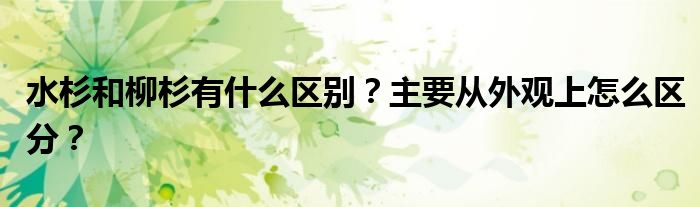 水杉和柳杉有什么區(qū)別？主要從外觀上怎么區(qū)分？