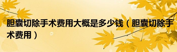 膽囊切除手術(shù)費用大概是多少錢（膽囊切除手術(shù)費用）