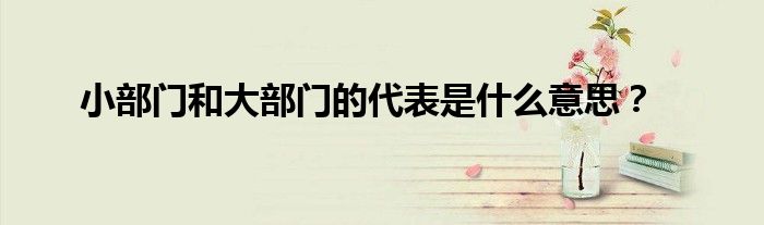 小部門和大部門的代表是什么意思？