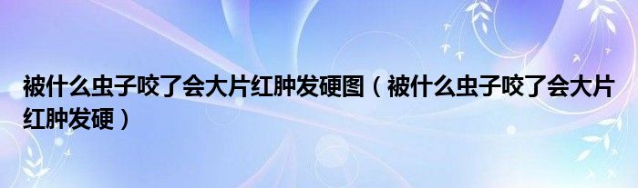被什么蟲(chóng)子咬了會(huì)大片紅腫發(fā)硬圖(被什么蟲(chóng)子咬了會(huì)大片紅腫發(fā)硬)