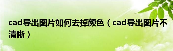cad導(dǎo)出圖片如何去掉顏色(cad導(dǎo)出圖片不清晰)