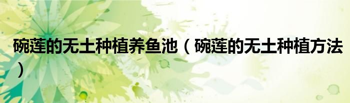 碗蓮的無土種植養(yǎng)魚池(碗蓮的無土種植方法)