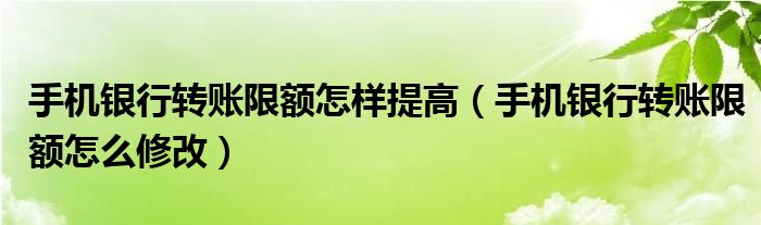 手機銀行轉(zhuǎn)賬限額怎樣提高（手機銀行轉(zhuǎn)賬限額怎么修改）
