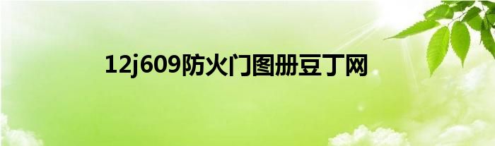 12j609防火門圖冊(cè)豆丁網(wǎng)