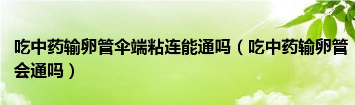 吃中藥輸卵管傘端粘連能通嗎（吃中藥輸卵管會通嗎）