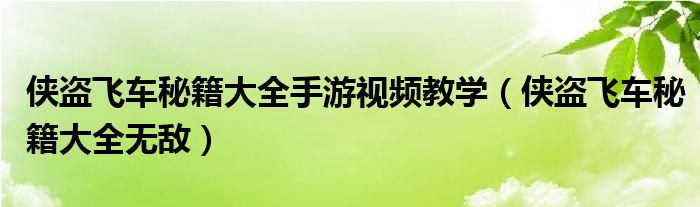 俠盜飛車秘籍大全手游視頻教學（俠盜飛車秘籍大全無敵）