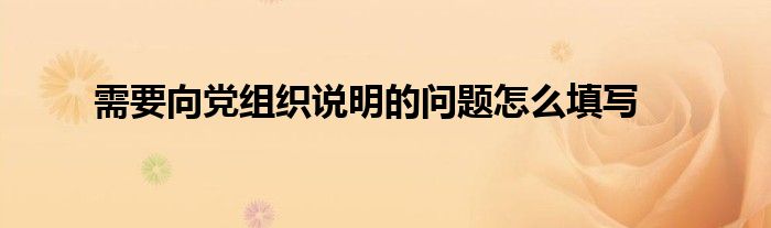 需要向黨組織說明的問題怎么填寫
