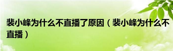 裴小峰為什么不直播了原因（裴小峰為什么不直播）