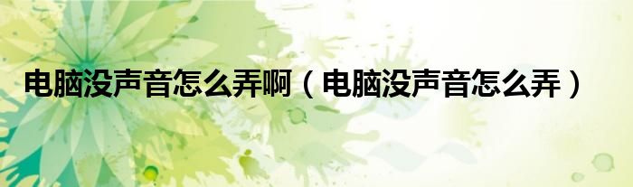 電腦沒聲音怎么弄?。娔X沒聲音怎么弄）