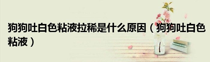 狗狗吐白色粘液拉稀是什么原因（狗狗吐白色粘液）