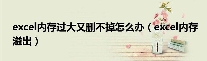 excel內(nèi)存過大又刪不掉怎么辦（excel內(nèi)存溢出）