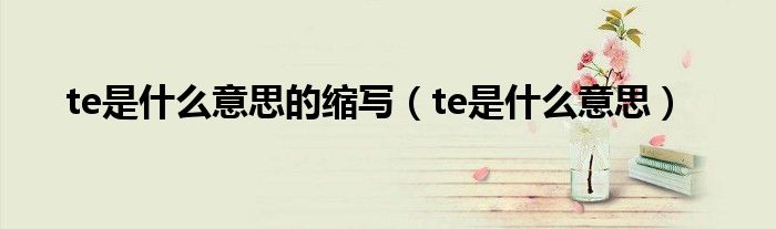 te是什么意思的縮寫(te是什么意思)