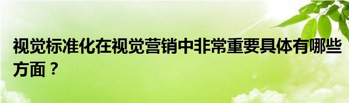 視覺標準化在視覺營銷中非常重要具體有哪些方面？