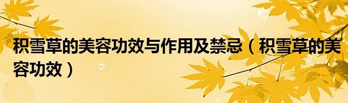 積雪草的美容功效與作用及禁忌(積雪草的美容功效)