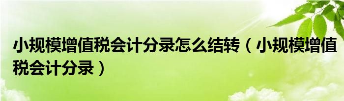 小規(guī)模增值稅會計分錄怎么結(jié)轉(zhuǎn)（小規(guī)模增值稅會計分錄）
