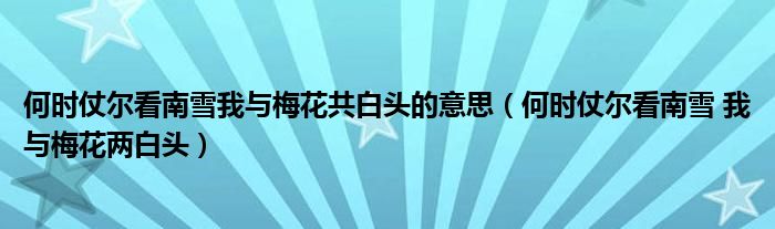 何時仗爾看南雪我與梅花共白頭的意思（何時仗爾看南雪 我與梅花兩白頭）