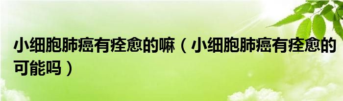 小細胞肺癌有痊愈的嘛（小細胞肺癌有痊愈的可能嗎）