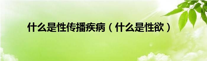 什么是性傳播疾?。ㄊ裁词切杂?class='thumb lazy' /></a>
		    <header>
		<h2><a  href=