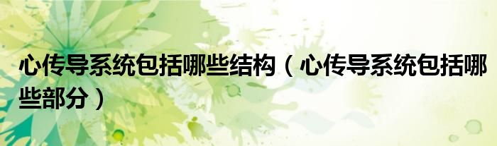 心傳導(dǎo)系統(tǒng)包括哪些結(jié)構(gòu)（心傳導(dǎo)系統(tǒng)包括哪些部分）