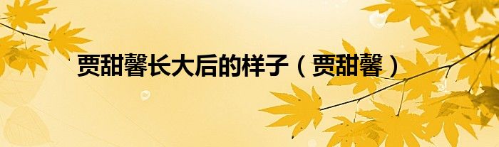 賈甜馨長大后的樣子（賈甜馨）