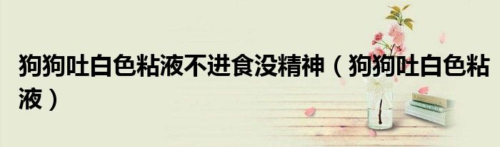 狗狗吐白色粘液不進(jìn)食沒精神（狗狗吐白色粘液）
