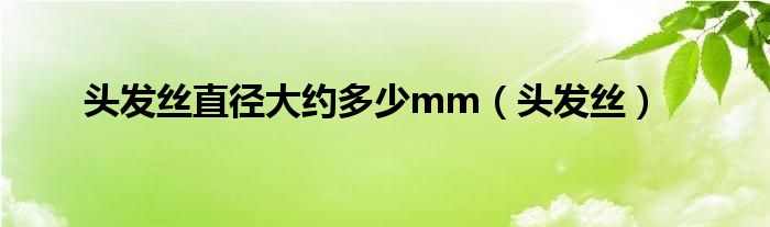 頭發(fā)絲直徑大約多少mm(頭發(fā)絲)