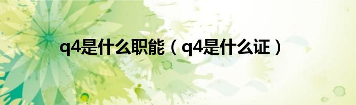 q4是什么職能（q4是什么證）