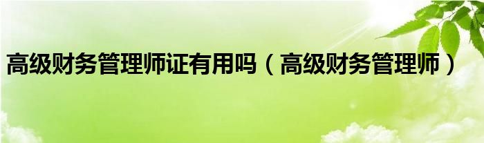 高級財務(wù)管理師證有用嗎（高級財務(wù)管理師）