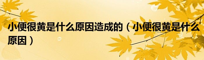 小便很黃是什么原因造成的（小便很黃是什么原因）
