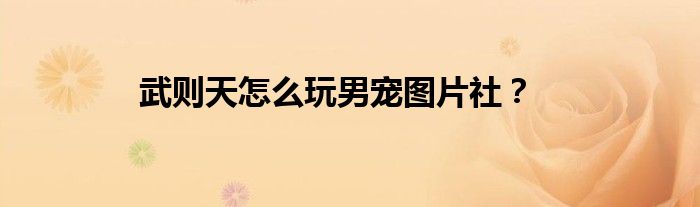 武則天怎么玩男寵圖片社？