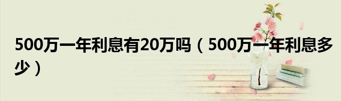 500萬(wàn)一年利息有20萬(wàn)嗎（500萬(wàn)一年利息多少）