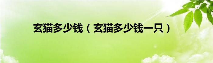 玄貓多少錢(qián)（玄貓多少錢(qián)一只）