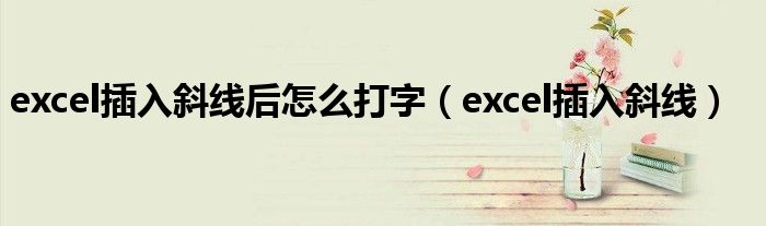 excel插入斜線后怎么打字（excel插入斜線）