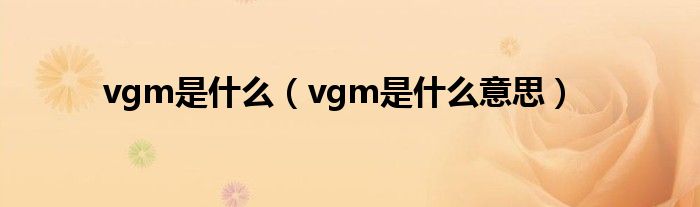 vgm是什么（vgm是什么意思）