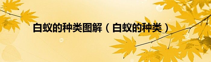 白蟻的種類圖解（白蟻的種類）