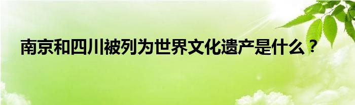 南京和四川被列為世界文化遺產(chǎn)是什么？