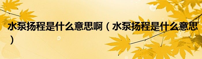 水泵揚程是什么意思?。ㄋ脫P程是什么意思）