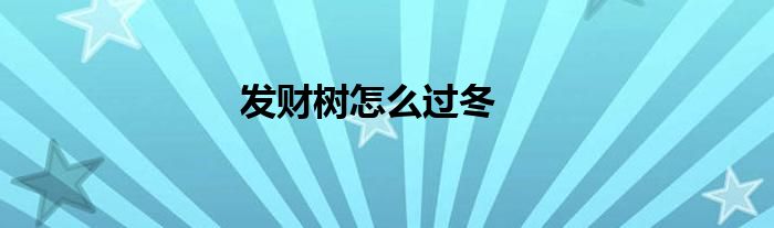 發(fā)財樹怎么過冬